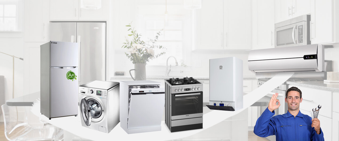 Mudurnu Gaggenau Servisi